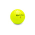 Used Taylormade Tour Response Golf Balls - 1 Dozen