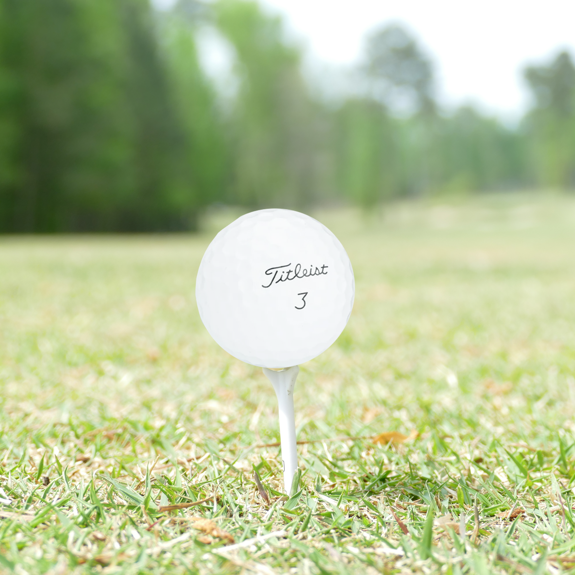 Used Titleist Pro V1 Golf Balls - 1 Dozen