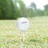 Used Titleist Velocity Golf Balls - 1 Dozen