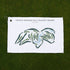 Tapatio Springs Hill Country Resort, Texas - Printed Golf Courses