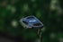 TaylorMade Spider Tour X #1 Putter