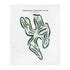 Tequesta Country Club, Florida - Printed Golf Courses