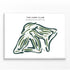 The Cape Club, Massachusetts - Printed Golf Courses