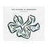 The Course at Aberdeen, Indiana - Printed Golf Courses