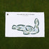 The Habitat Golf Course, Florida - Printed Golf Courses