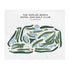 The Naples Beach Hotel and Golf Club, Florida - Printed Golf Course