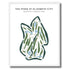 The Pines at Elizabeth City, North Carolina - Printed Golf Courses