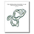 The Woodlands Country Club, The Player Course, Texas - Printed Golf Courses