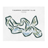 Timarron Country Club, Texas - Printed Golf Courses