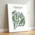 Upper Montclair Country Club, New Jersey - Printed Golf Courses