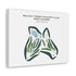 Walnut Creek Country Club, West Course, Michigan - Printed Golf Courses