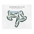 Waterford Golf Club, South Carolina - Printed Golf Courses