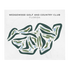 Wedgewood Golf & Country Club, Florida - Printed Golf Courses