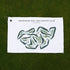 Wedgewood Golf & Country Club, Florida - Printed Golf Courses