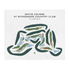 White Course at Wyndemere Country Club, Florida - Printed Golf Courses