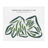 Woodland Country Club, Massachusetts - Printed Golf Courses