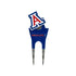 Arizona Wildcats Custom Shaped Divot Tool