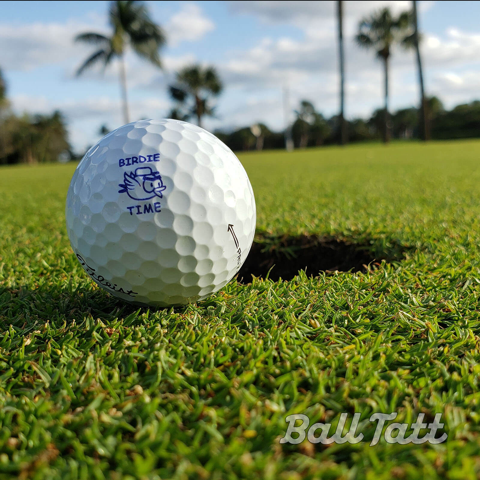 Birdie Time