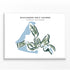 Buccaneer Golf Course, Virgin Islands - Printed Golf Courses
