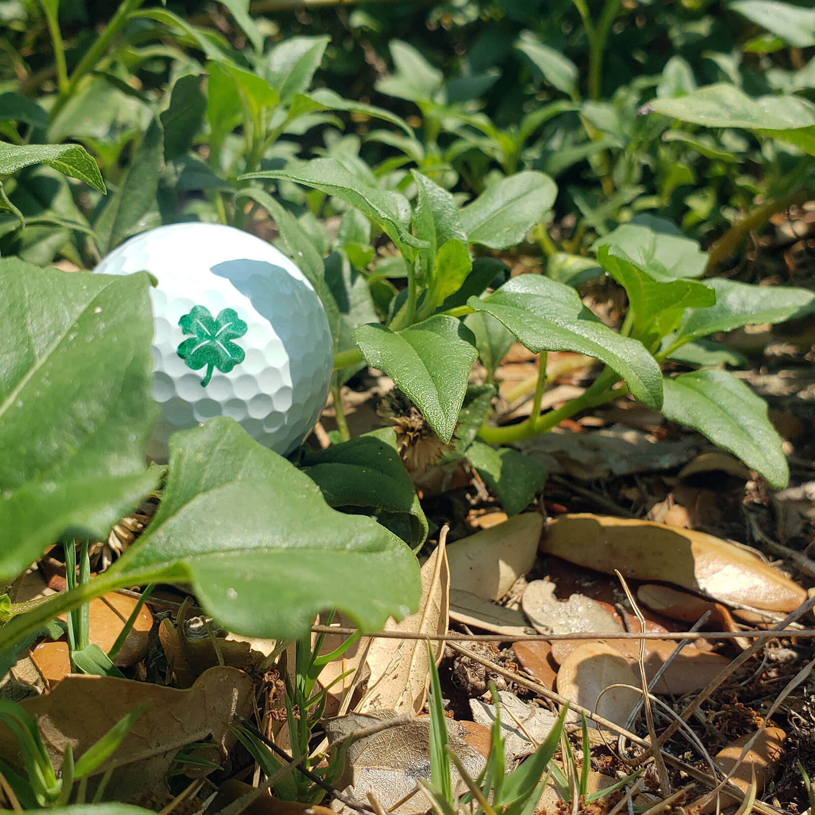 Clover Hat Clip Ball Marker Set