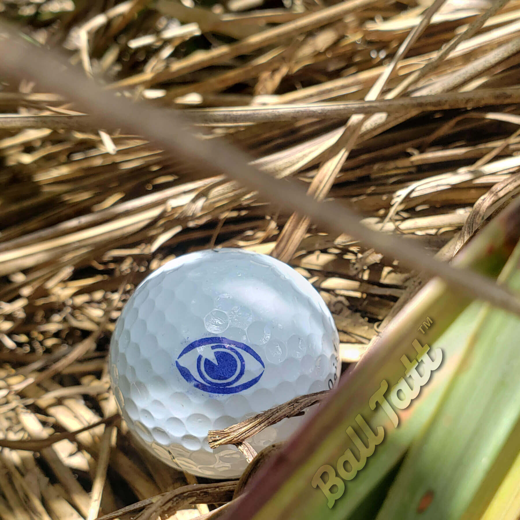 Eye On The Ball