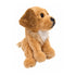 Golden Dog Driver Headcover | Fetch the Fairway