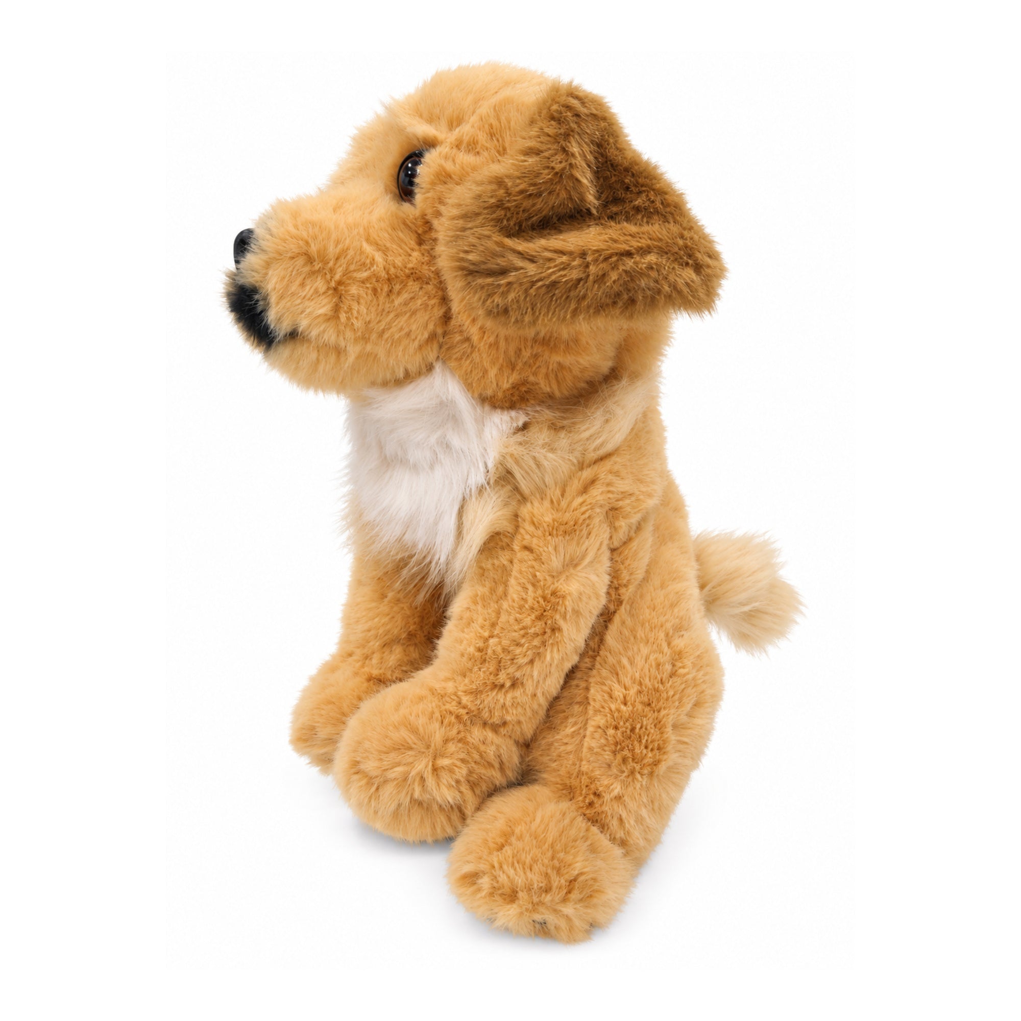 Golden Dog Driver Headcover | Fetch the Fairway
