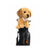 Golden Dog Driver Headcover | Fetch the Fairway