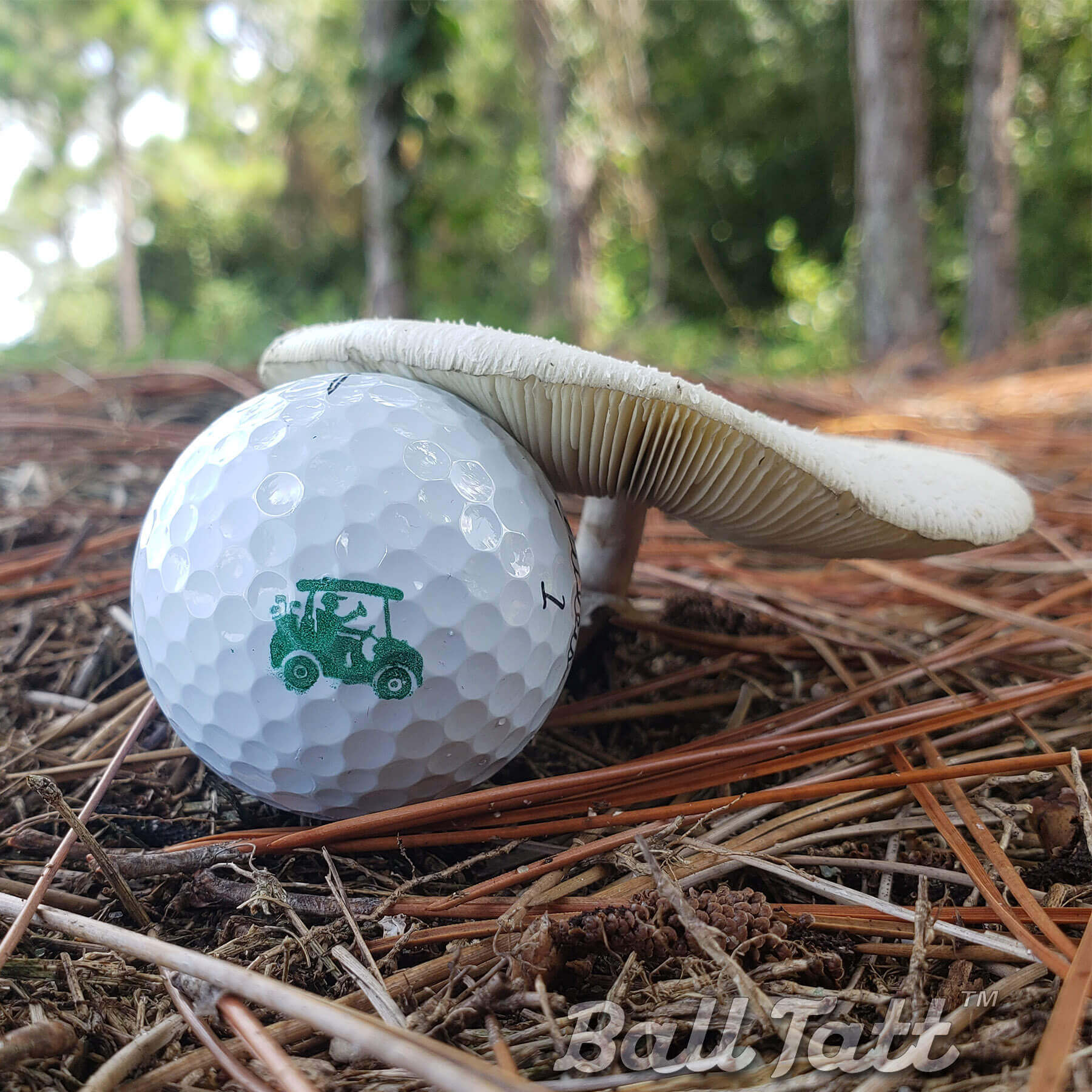 Golf Cart