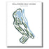 Wallinwood Golf Course, Michigan - Printed Golf Courses