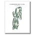 Flossmoor Golf Club, Illinois - Printed Golf Courses
