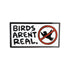 Birds Aren't Real Pin
