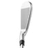 Callaway Apex Pro 24 Custom Irons