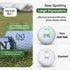 N Monogram w/ Ball Marker