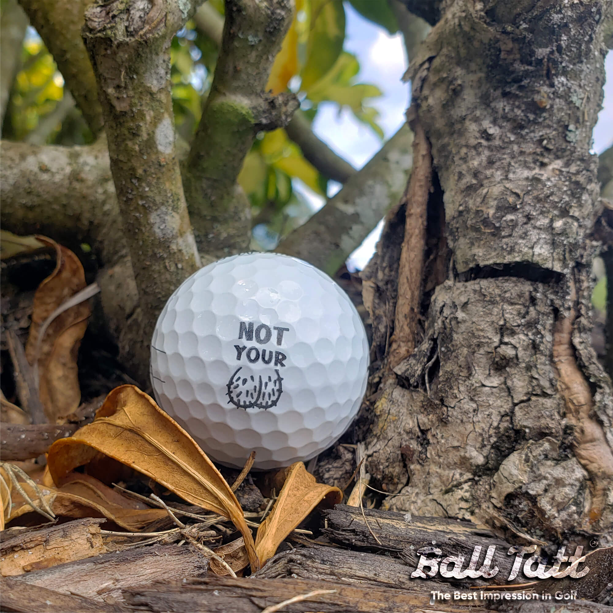 Not Your Ball