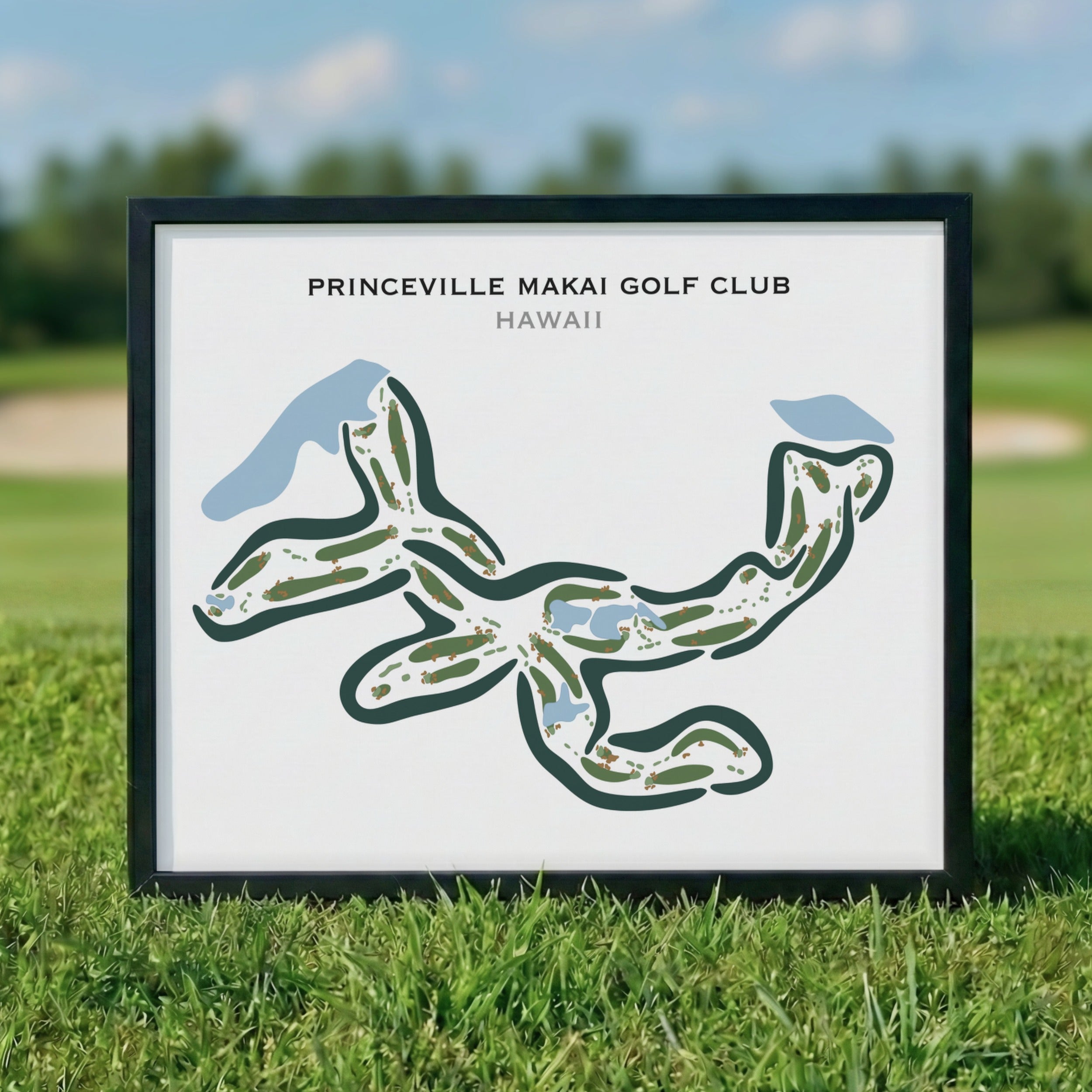 Princeville Makai Golf Club, Hawaii - Printed Golf Courses
