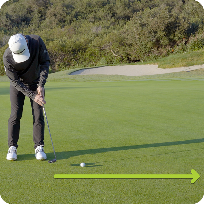 SuperTag with Birdie Membership