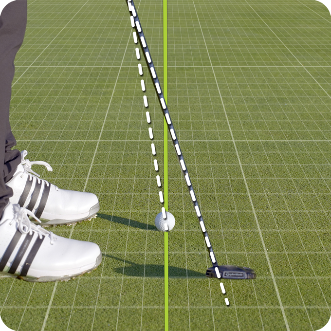 SuperTag with Birdie Membership