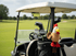 Rooster Golf Club Headcover
