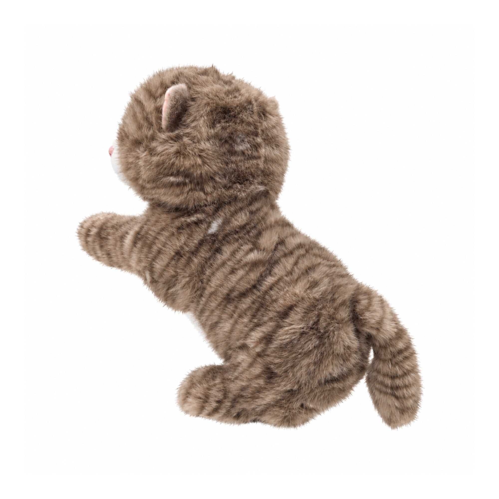 Tabby Cat Driver Headcover | Nine Lives, Eighteen Holes