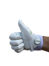 THE BYRD GOLF GLOVE - White/Green